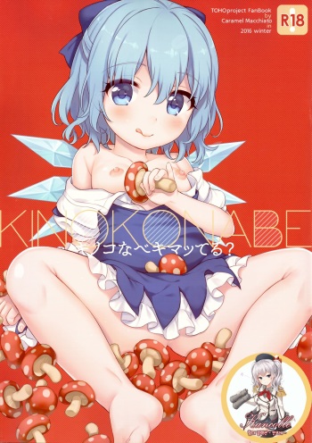 (C91) [Caramel Macchiato (Ma)] Kinokonabe Kimatteru? (Touhou Project) [Korean] cover