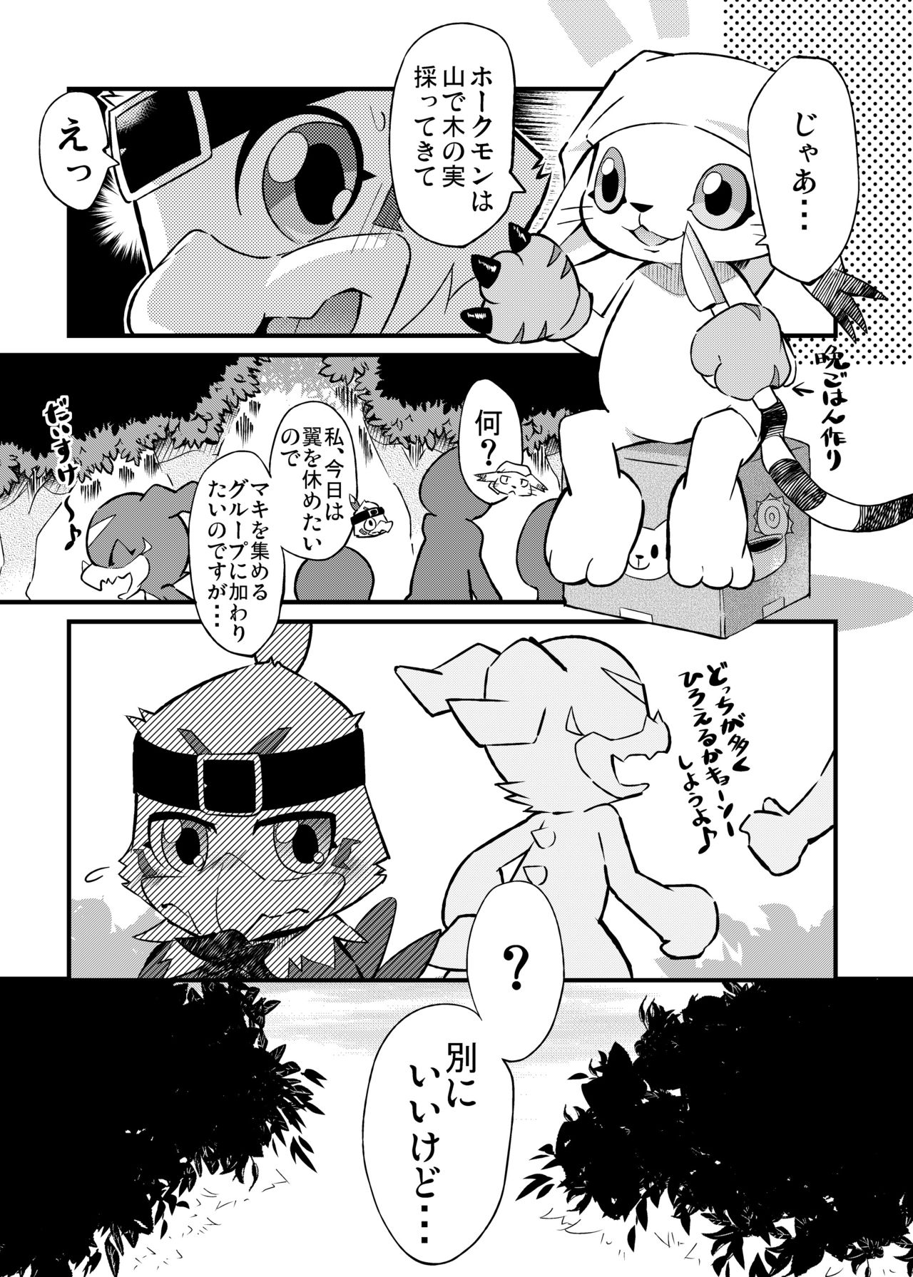 Digital Voice page 12 full
