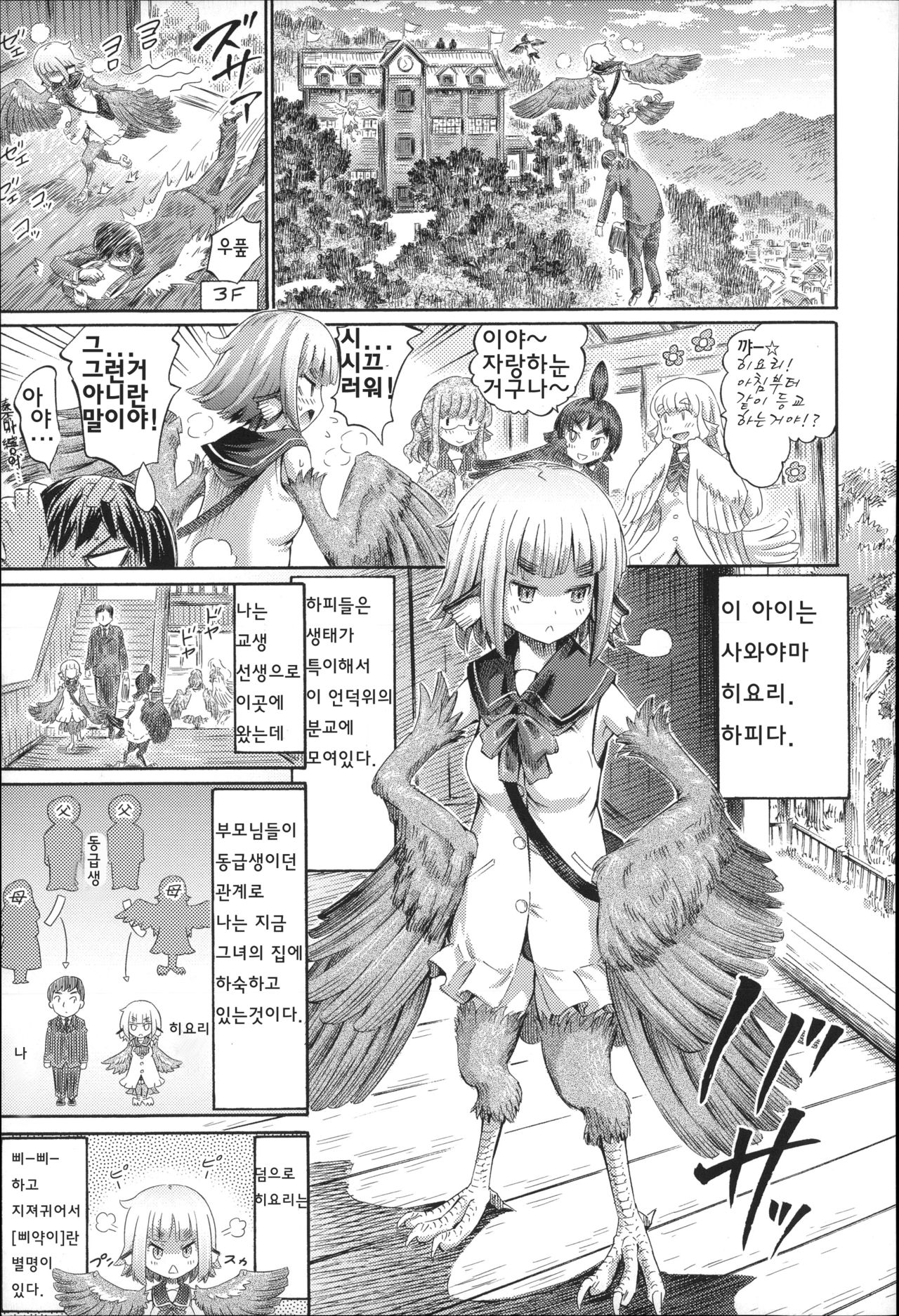 Harpy no Manabiya ~Kashimashi Class~ | Escuela de Arpías ~Clase Ruidosa page 4 full
