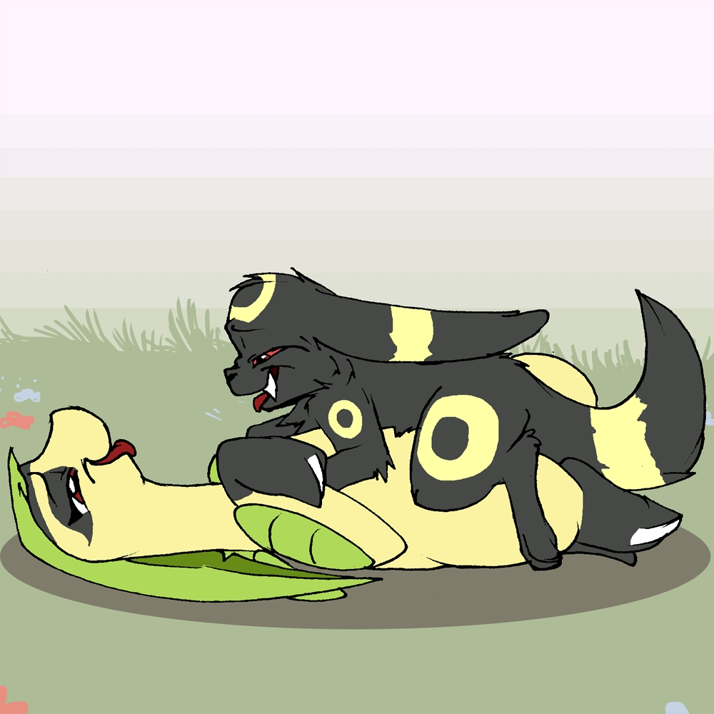 Nicobay Flash page 12 full