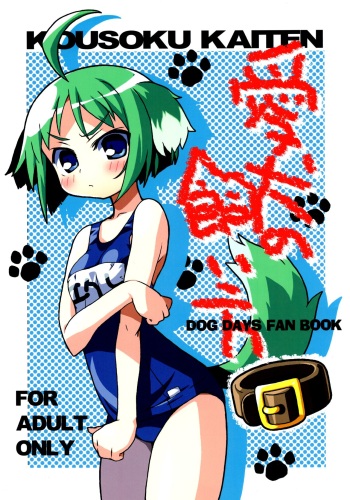 (C80) [Kousoku Kaiten (Yagumo Kengou, Aji)] Aiken no Kaikata (Dog Days) cover
