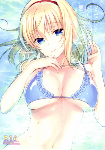 (C90) [Iiwake-Gaisya (Shigemiya Kyouhei)] Tonari no Alice-san Natsu (Touhou Project) [Korean] cover
