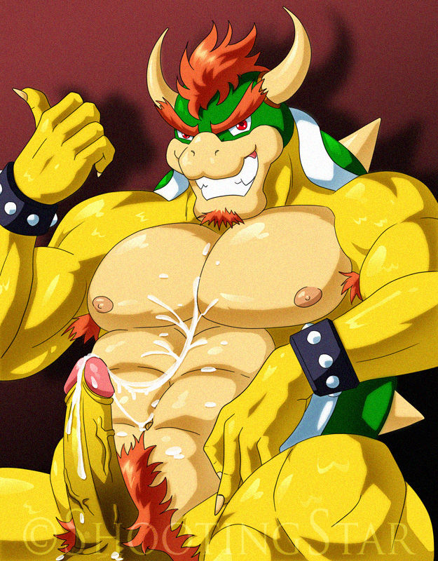 Bowser PACK I page 2 full