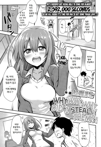 [Akai Mato] Boku wa Naze Naze Naze Totta!? | Why why why, did I steal them?! (Girls forM Vol. 09) [Korean] cover