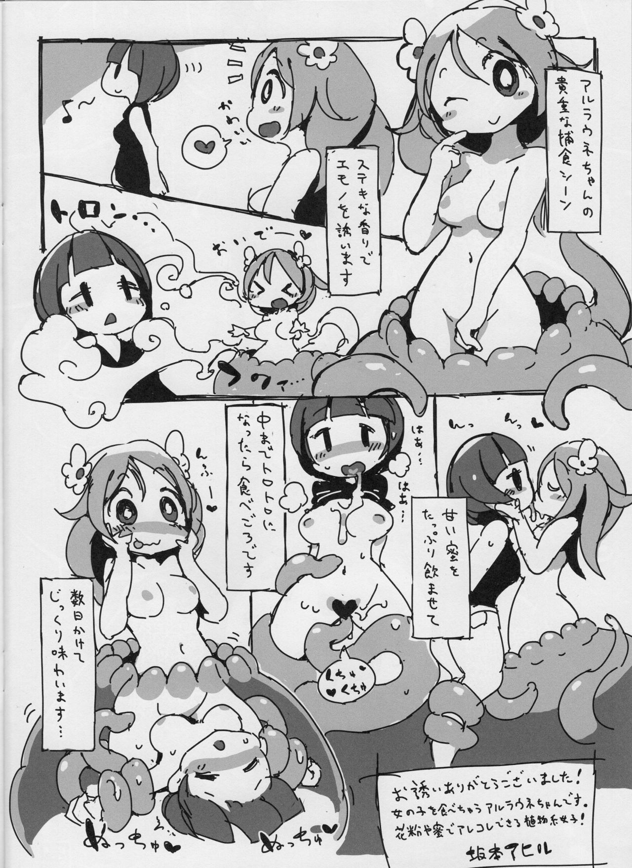 B.N.S.R.lip. page 11 full