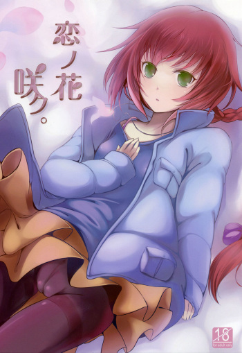 (C77) [Dream Halls! (Tsuzuri)] Koi no Hana Saku. (DARKER THAN BLACK -Ryuusei no Gemini-) [Korean] [팀 아동복지부] cover