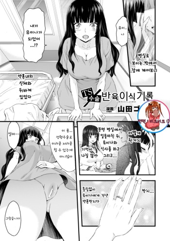 [Yamada Gogogo] TS Shujutsu Mesu Niku Ishoku Kiroku (2D Comic Magazine Seitenkan Shite Haramasarete Botebara End! Vol. 3) [Korean] [Digital] cover
