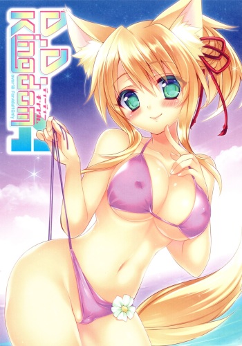 (C84) [hlz (Sanom)] D.D.Kingdom4 (DOG DAYS) cover