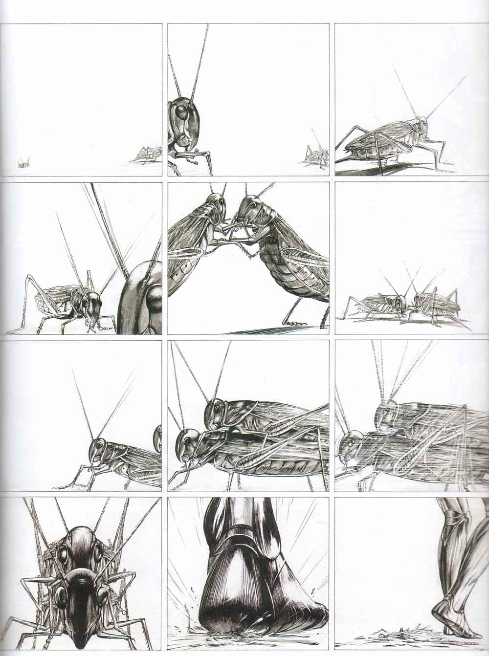 Les terres creuses - T01 - Carapaces page 6 full