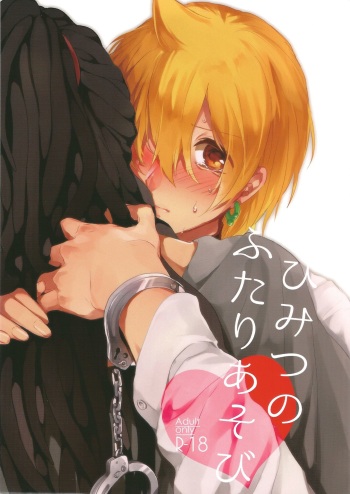 (Meikyuu Tanbou 2) [IORIAM (Mizuno)] Himitsu no Futari Asobi (Magi: The Labyrinth of Magic) cover
