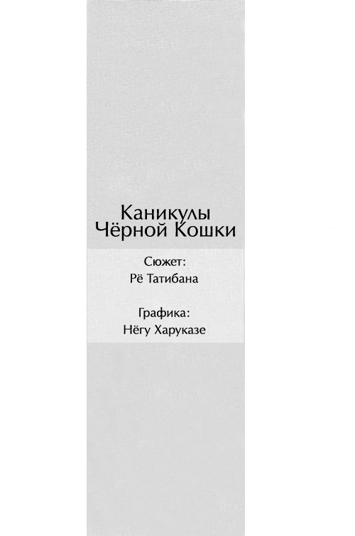 Kuroneko-tachi no Kyuujitsu ~A Peaceful Day~ | Каникулы Чёрной Кошки ~Один прекрасный день~ page 3 full