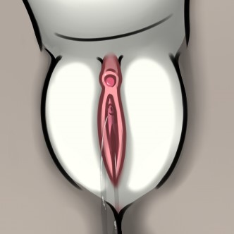 my pussy collection for photoshop page 6 full