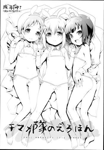 (C90) [KAMINENDO.CORP (Akazawa RED)] Chimametai no Erohon (Gochuumon wa Usagi Desu ka?) [Spanish] [Shadow Hunter] cover