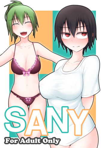 [Lapiz Lazuli Kouseki (Kuroha Rapid)] SANY (Touhou Project) cover