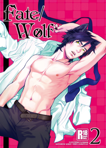 [MECCHORI (Mitsuru)] Fate/Wolf 2 (Fate/Zero) [Digital] cover