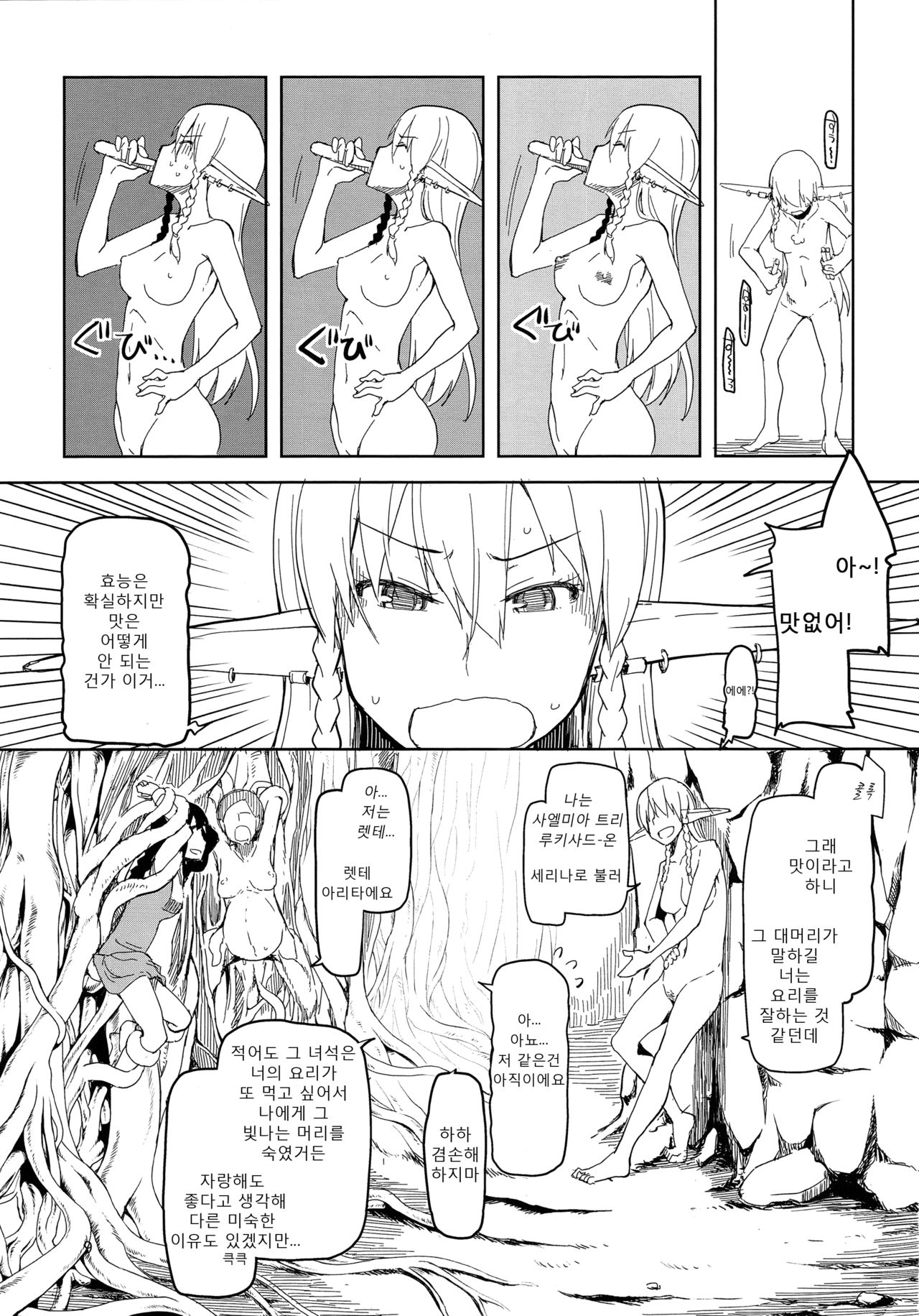 Dosukebe Elf no Ishukan Nikki 2 | 호색한 엘프의 이종간일기 2 page 11 full