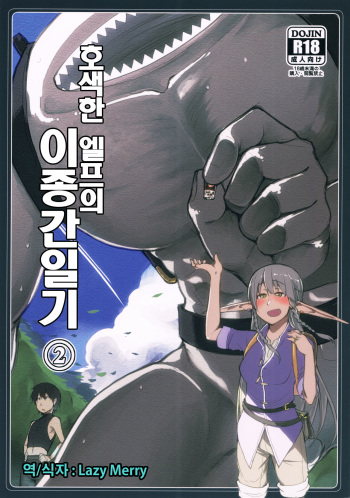 (C90) [Metamor (Ryo)] Dosukebe Elf no Ishukan Nikki 2 | 호색한 엘프의 이종간일기 2 [Korean] [Lazy Merry] cover