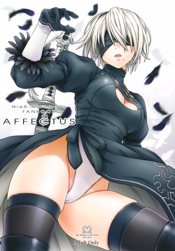 (C92) [The Knight of the Pants (Tsuji Takeshi)] AFFECTUS (NieR:Automata) cover