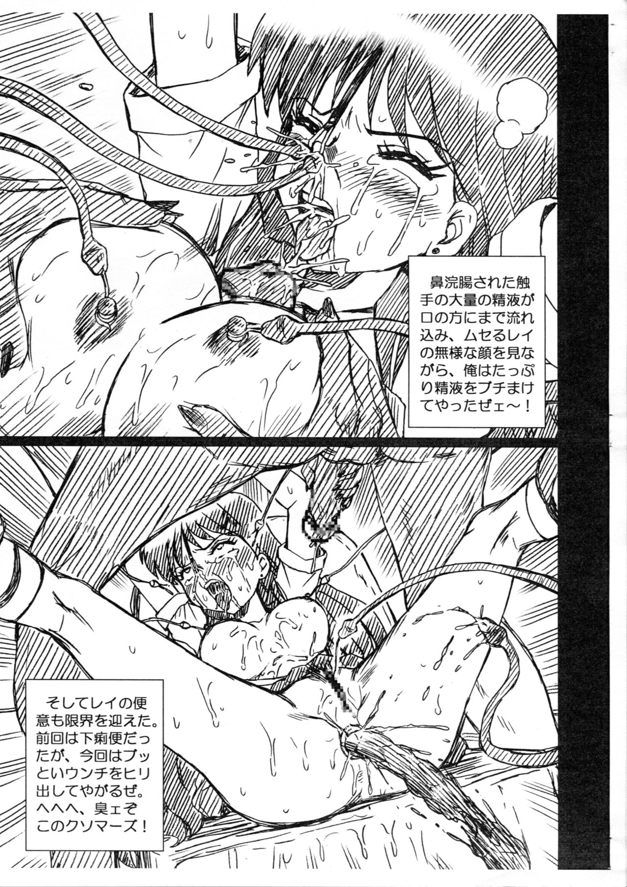 SAILORMOON FILE Hino Rei Gazoushuu page 5 full