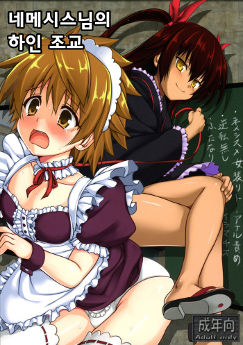 (C89) [Perceptron (Asaga Aoi)] Neme-sama no Geboku Choukyou | 네메시스님의 하인 조교 (To LOVE-Ru Darkness) [Korean] cover