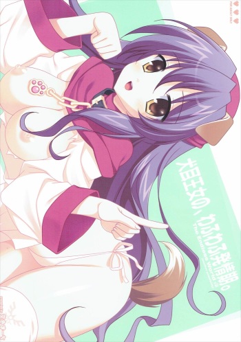 (C76) [Sorairo March (Narusawa Sora)] Inumimi Oujo no, Wafu Wafu Hatsujouki. (Dragon Quest II: Akuryo no Kamigami) cover