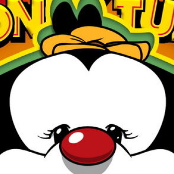 [Lawgick] Dot An' A Maniac (Animaniacs) cover