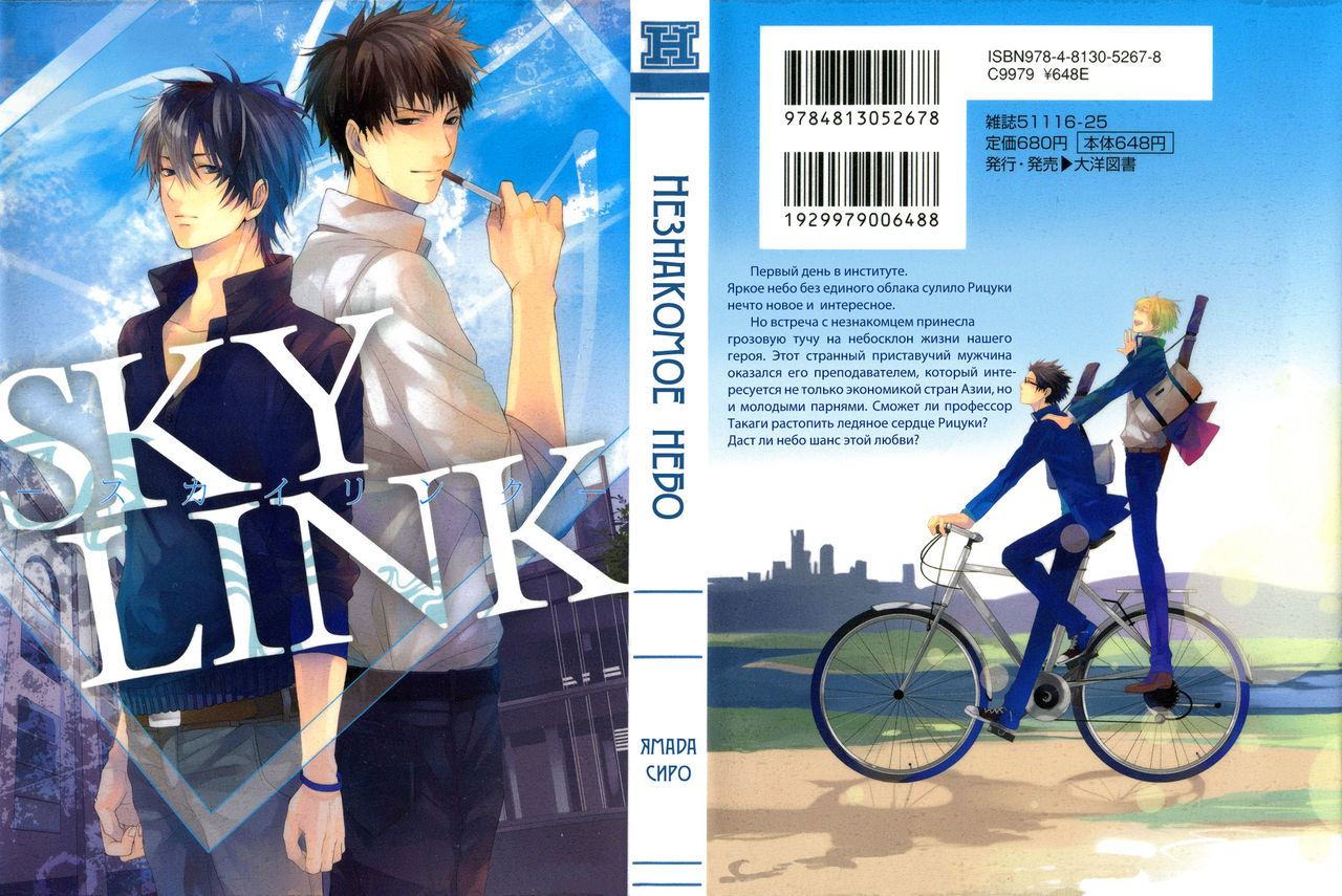 Sky Link | Незнакомое небо page 1 full