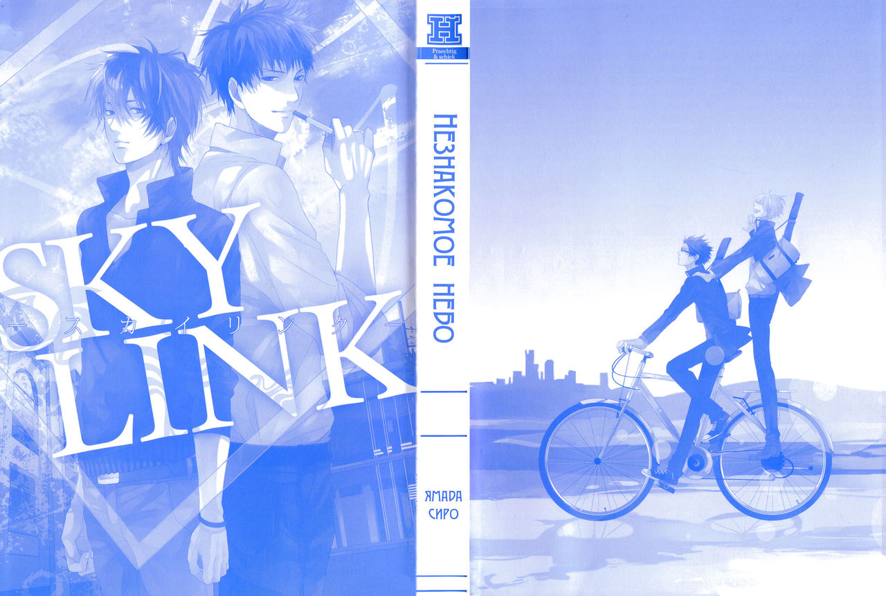 Sky Link | Незнакомое небо page 2 full