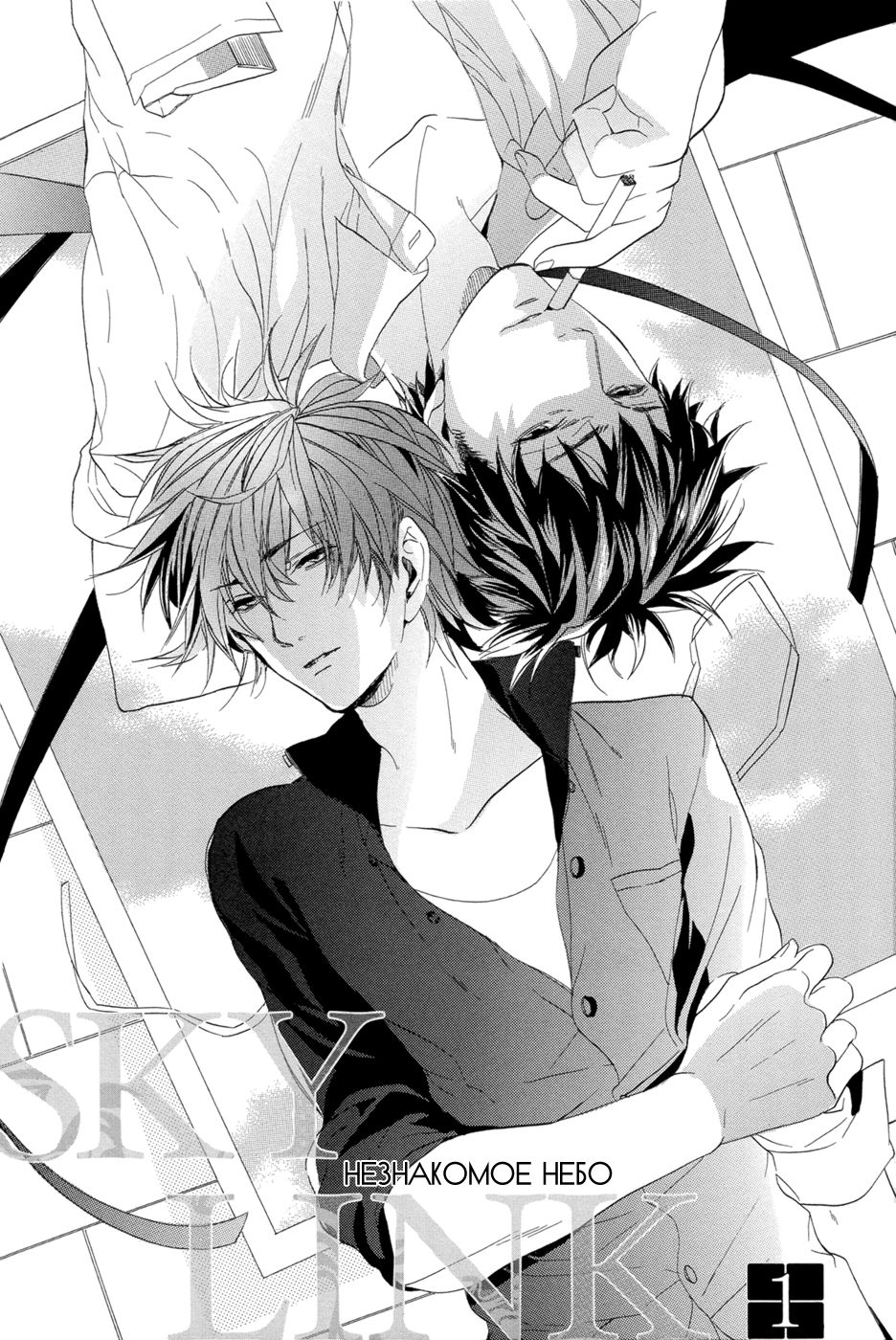 Sky Link | Незнакомое небо page 5 full