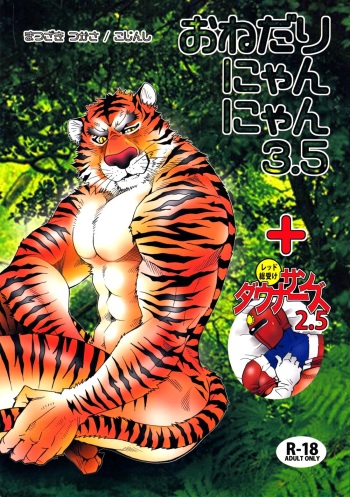 (SUPER22) [Masamune Kokichi (Matsuzaki Tsukasa)] Onedari Nyan Nyan 3.5 + Sundowners 2.5 (Astro Fighter Sunred) [English] [mayonakat] cover