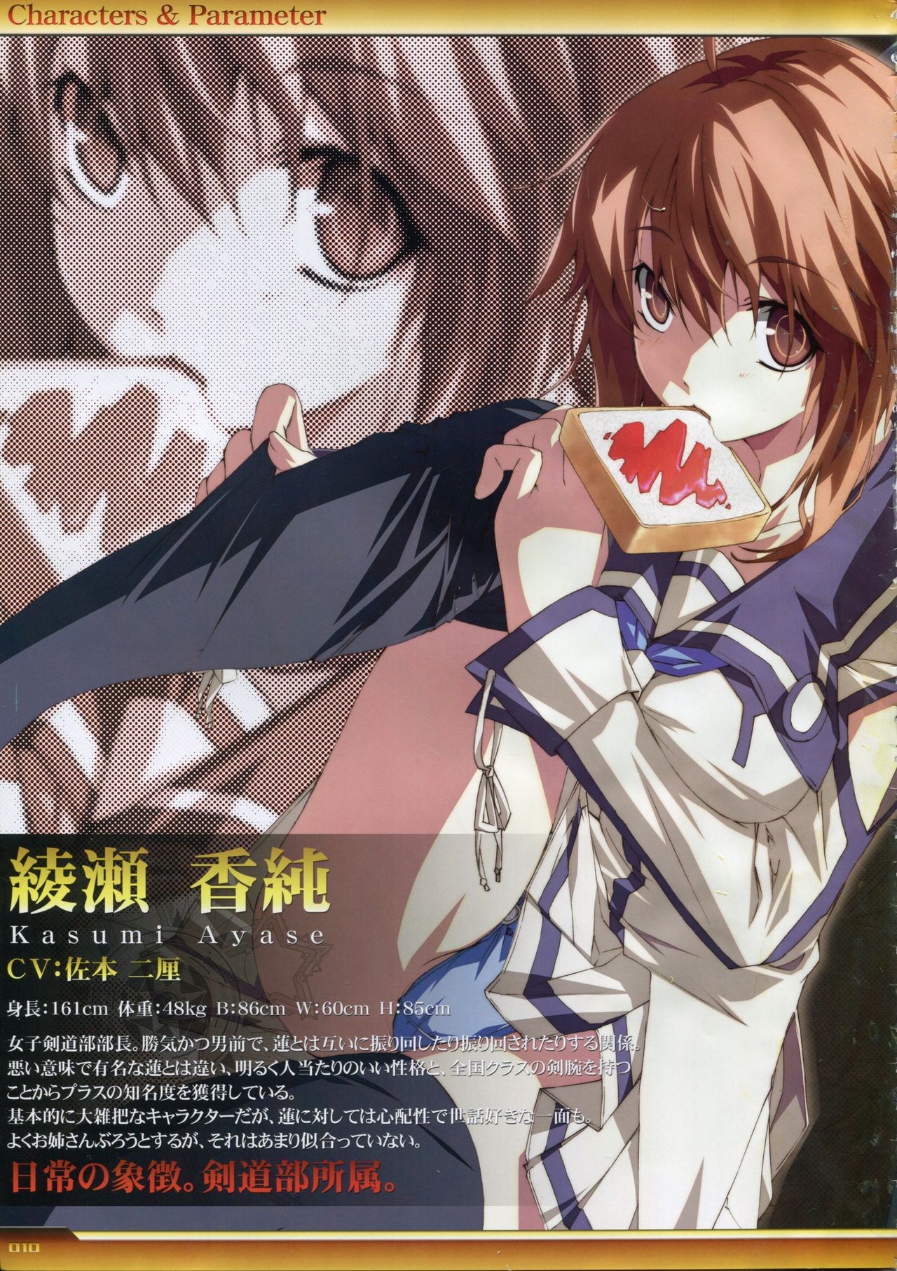 Dies irae Visual Fanbook - White Book page 11 full