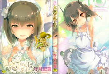(C92) [Kamishiki (Kamizuki Shiki)] Taihou Collection (Kantai Collection -KanColle-) cover