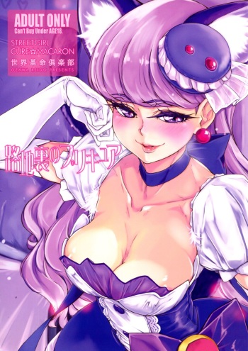 (COMIC1☆11) [Sekai Kakumei Club (Ozawa Reido)] Rojiura no PreCure (Kirakira PreCure a la Mode) cover