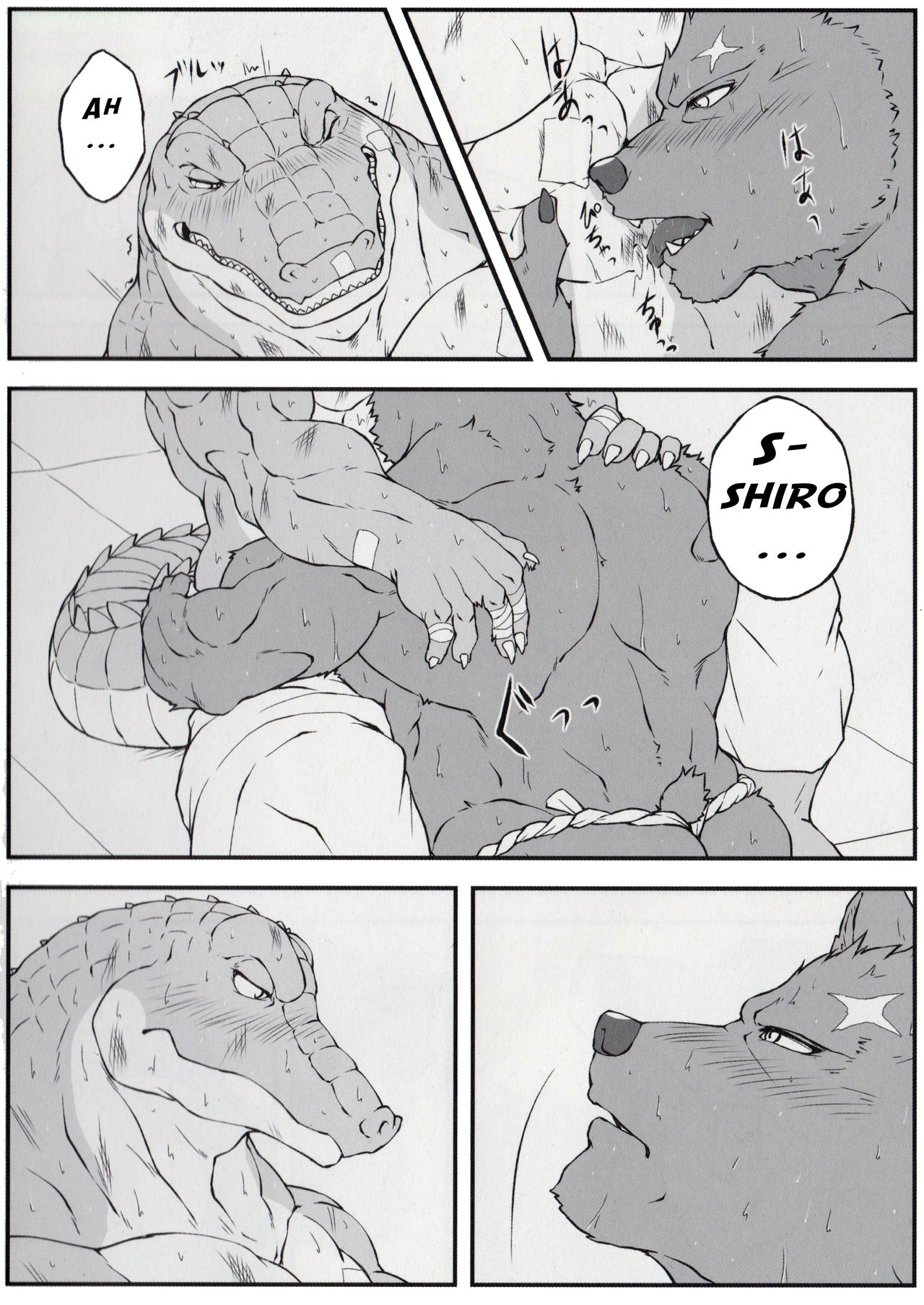 Yumemiru Crocodile | Cocodrilo soñador page 11 full
