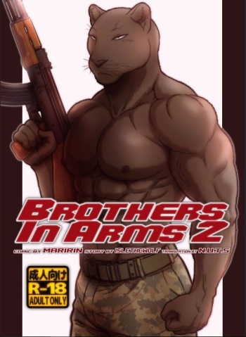 [Maririn] Brothers in Arms 2 cover