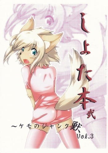 [叡(satoshi)] ショタ本２～Vol.13～（表紙は別の方・許可済） cover