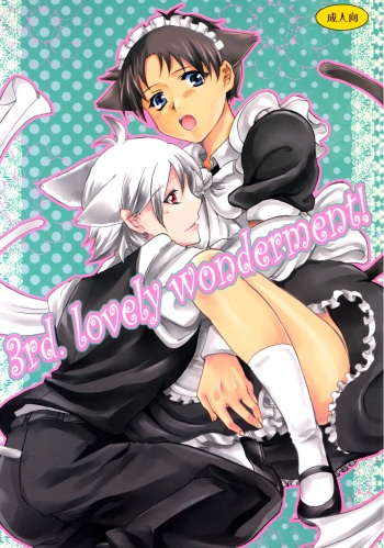 [Fuukyou Kimiko (Shinme)] 3rd. lovely wonderment! (Neon Genesis Evangelion) cover