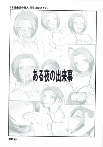(C90) [Nakano Kinzan (Kinbara 1099)] Aru Yoru no Dekigoto (THE IDOLM@STER) cover