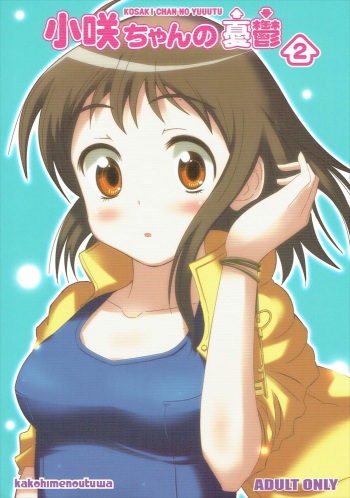 (C86) [Kakohimenoutuwa (Yuumazume)] KOSAKI CHAN NO YUUUTU 2 (Nisekoi) cover