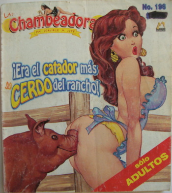 Las Chambeadoras 196 cover