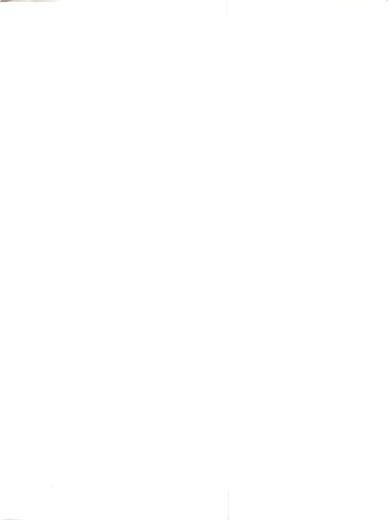 The Secret of Chimatsuriya page 2 full