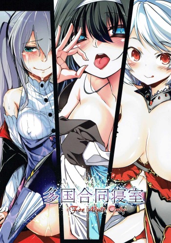 (Dondon Waru no Desu... Ouji) [LeNotre (Various)] Takoku Goudou Shinshitsu (Sennen Sensou Aigis) cover