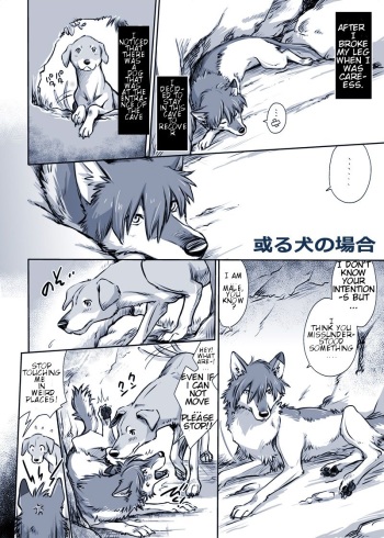 [Souko Souji] Aru Inu no Baai | A certain dog's situation (Ookami Kodomo no Ame to Yuki) [English] [alphya04] cover