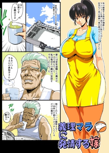 [Lunaterk] Giri Mara ni Hatsujou Suru Yome cover