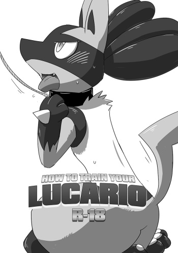 [Kuroha Karasu]Lucario Training Book「How to Train Your~」 cover
