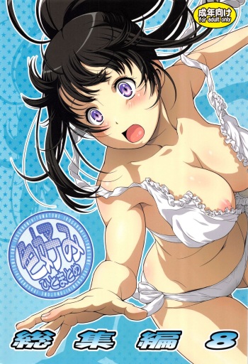 (C89) [Koudansha (Kouda Tomohiro)] Irogonomi Hitomatome Soushuuhen 8 (Various) cover