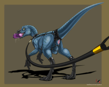 ARTIST Equalicus cover