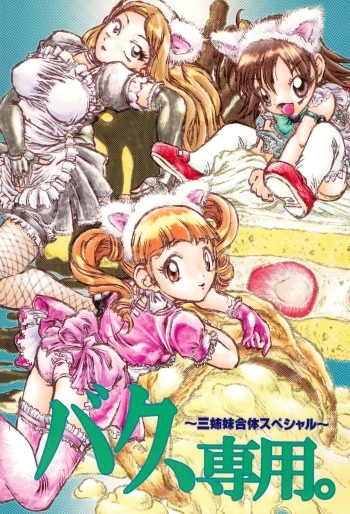 (SC30) [RPG Company 2 (Otokodama)] Baku, Senyou. ~Sanshimai Gattai Special~ (Onegai My Melody) cover