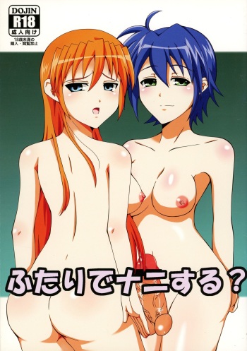 (Lyrical Magical 13) [ETERNAL WORLD (zero)] Futari de Nani suru? (Mahou Shoujo Lyrical Nanoha) cover