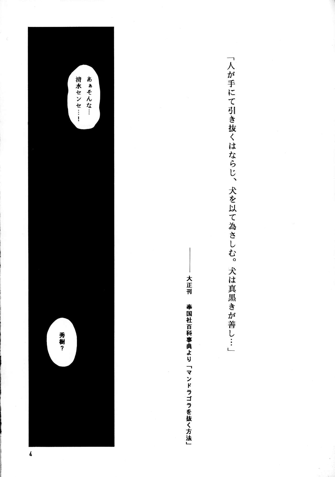Tricolor page 4 full